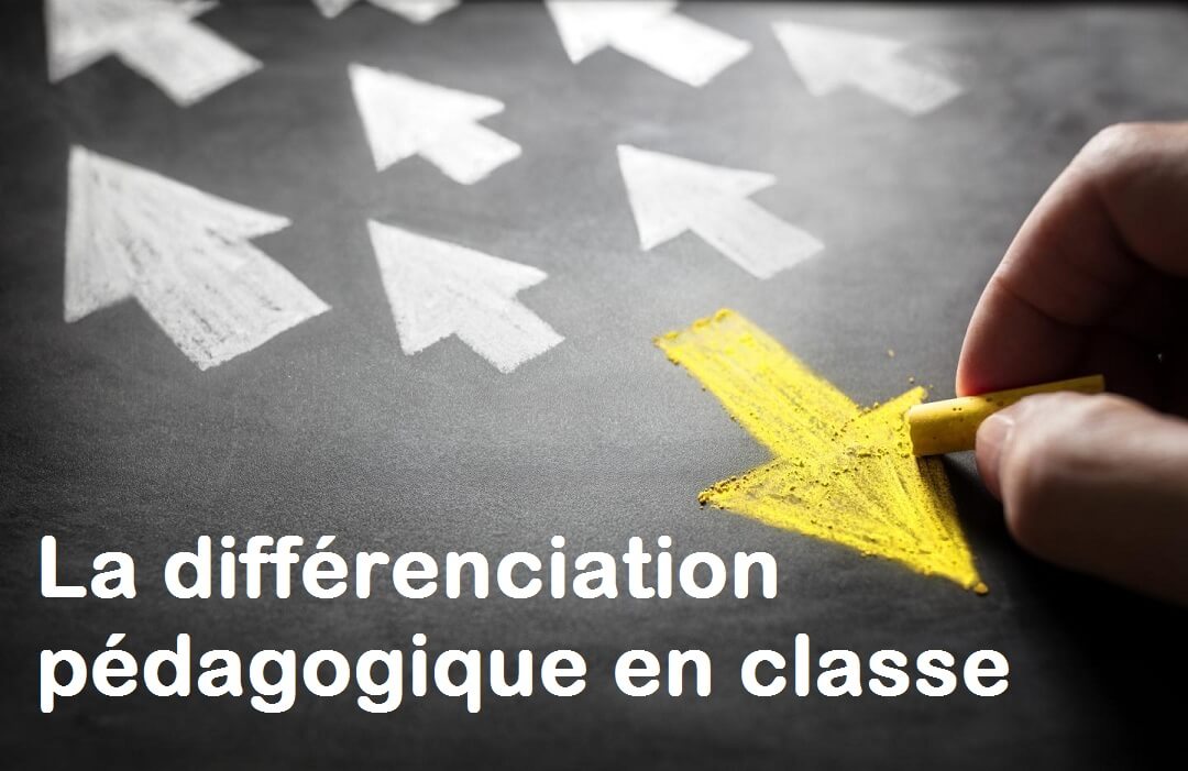 différenciation pédagogique