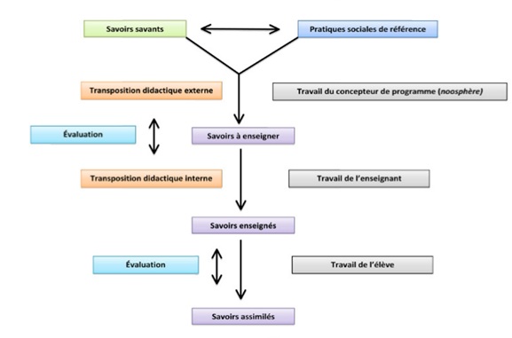 étapes de la transposition didactique