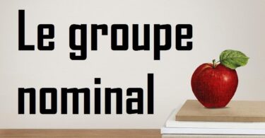 Le groupe nominal : définition, exemples et fonctions