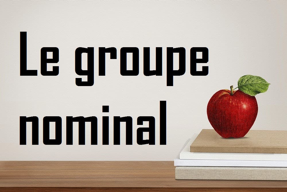 Le groupe nominal : définition, exemples et fonctions