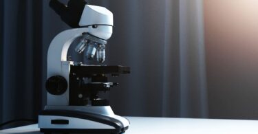 microscope optique