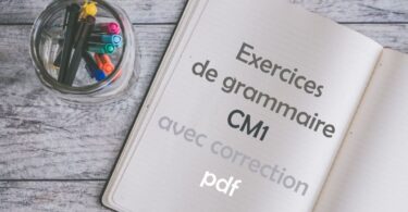 exercice de grammaire cm1 avec correction pdf
