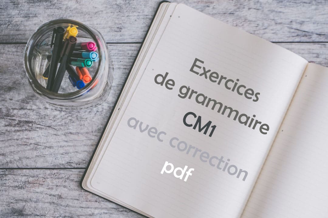 exercice de grammaire cm1 avec correction pdf