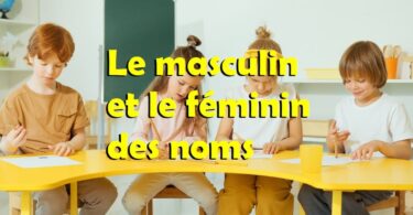 masculin féminin cp exercices