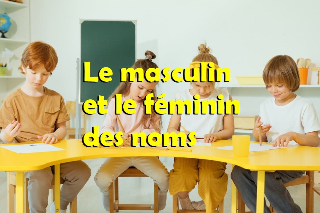 masculin féminin cp exercices