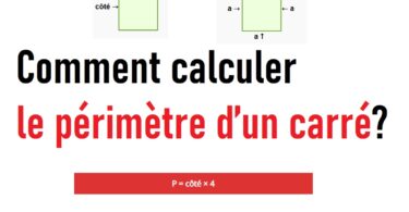 Comment calculer le périmètre d’un carré