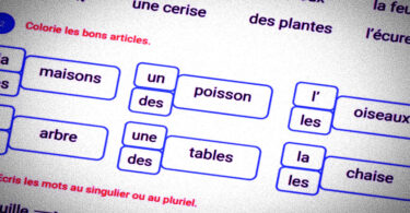Singulier et pluriel en CP