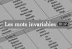 mots invariables ce2