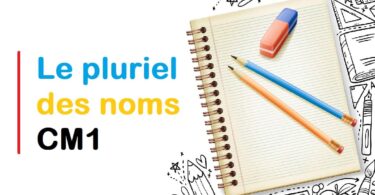 Exercices sur le pluriel des noms CM1