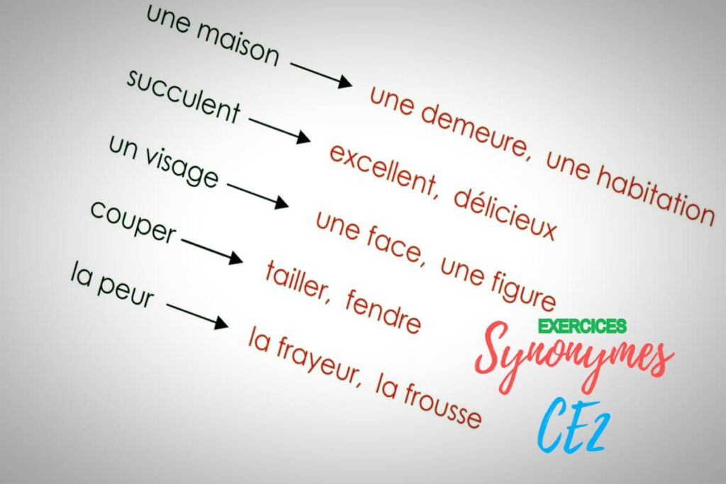 Exercices sur les synonymes CE2 à imprimer Prof Innovant