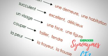 exercices sur les synonymes ce2