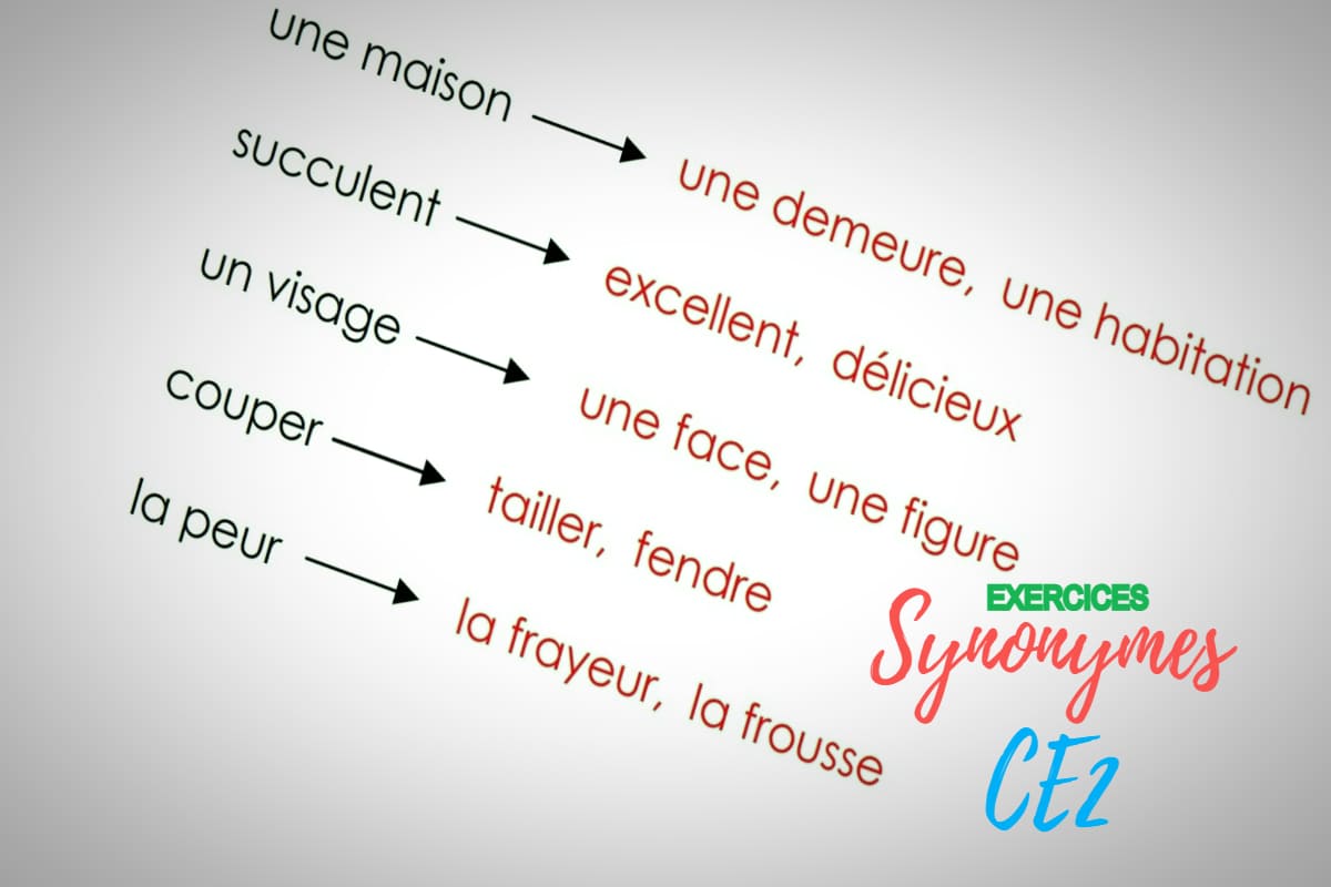 excursion synonyme francais