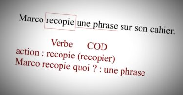 Exercices COD COI CM2