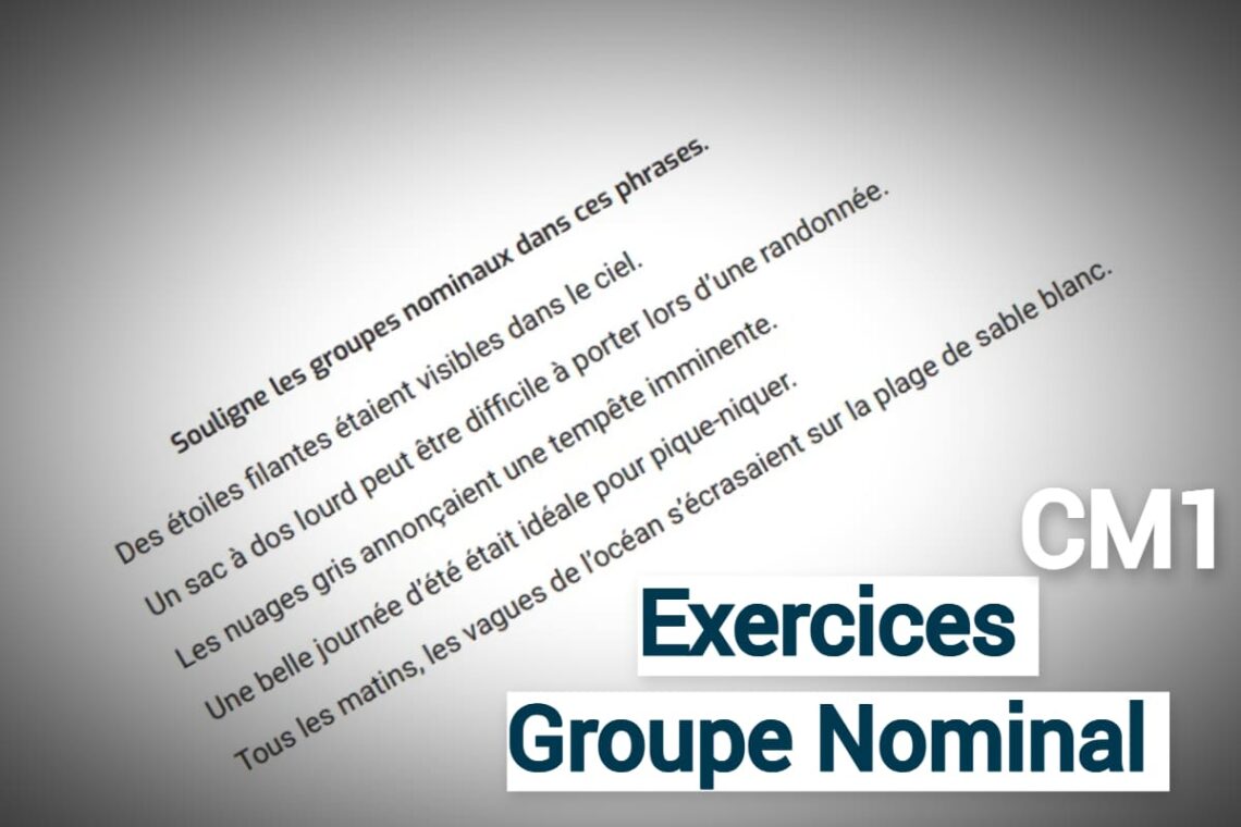 exercices groupe nominal CM1