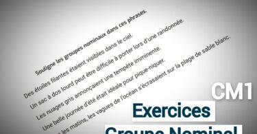 exercices groupe nominal CM1