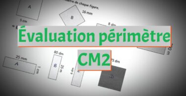 évaluation périmètre cm2