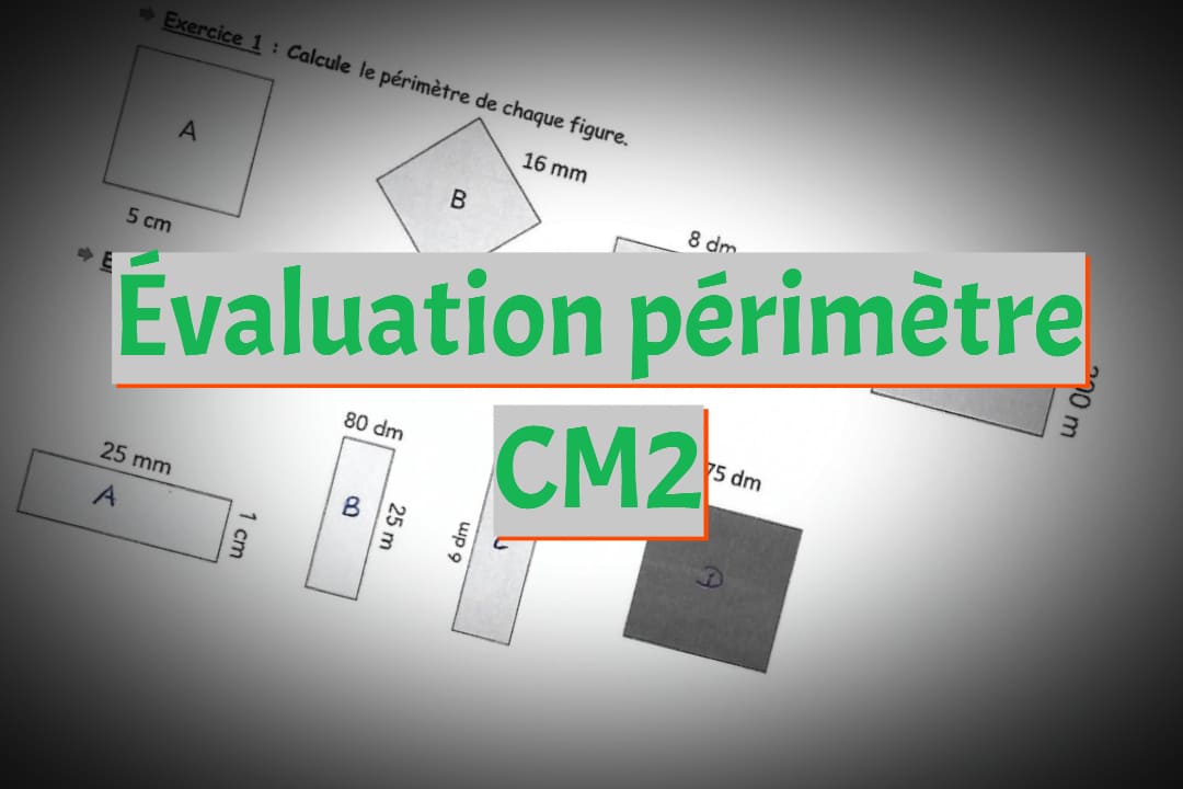 évaluation périmètre cm2