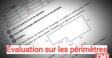 évaluation périmètres CM1