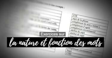 exercices sur la nature et fonction des mots