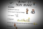 vivant et non vivant cp