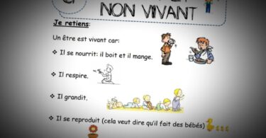 vivant et non vivant cp