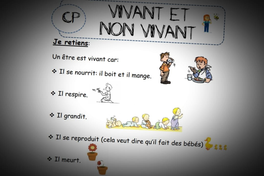 vivant et non vivant cp