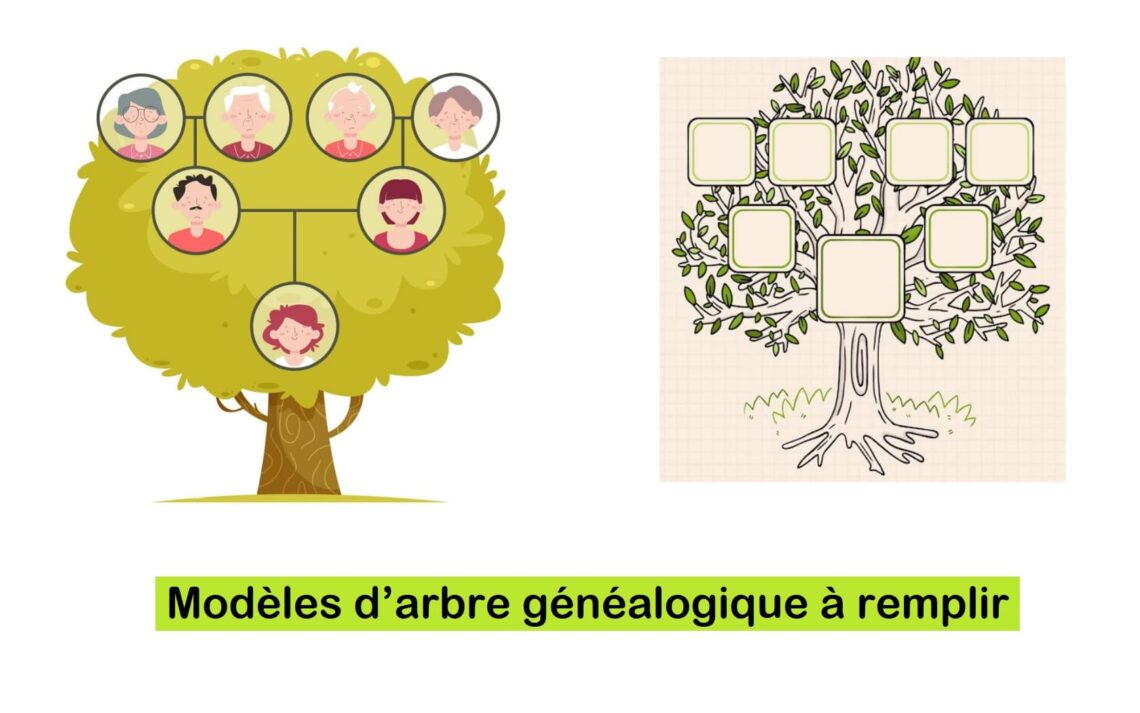 arbre généalogique à remplir