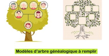 arbre généalogique à remplir