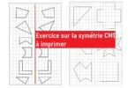 Exercice sur la symétrie CM1 à imprimer