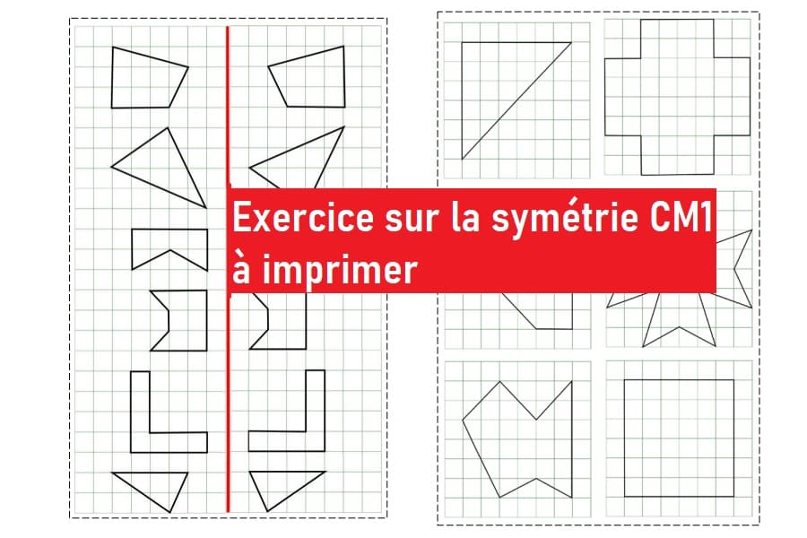 Exercice sur la symétrie CM1 à imprimer