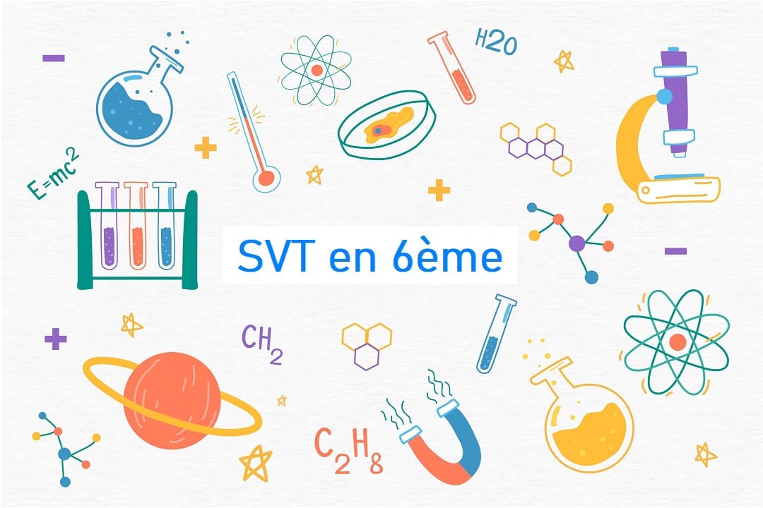 svt en 6ème