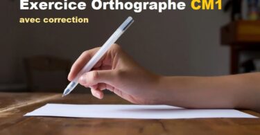 exercice orthographe cm1 avec correction