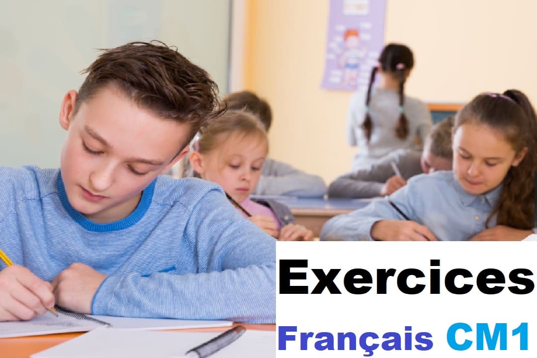 Exercices de français CM1 avec corrigés